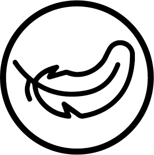Leicht